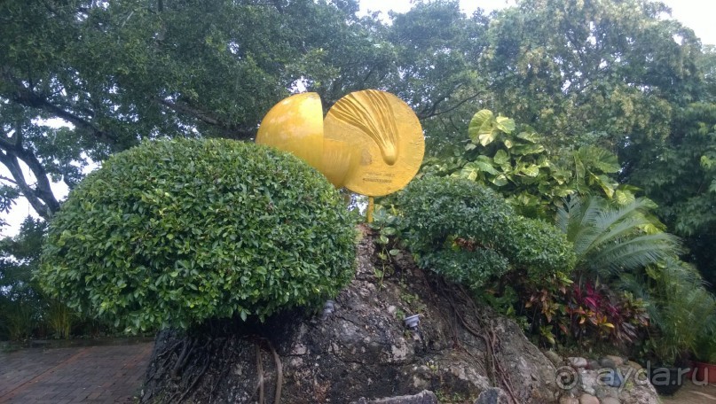 Цветущий остров страны Восходящего Солнца