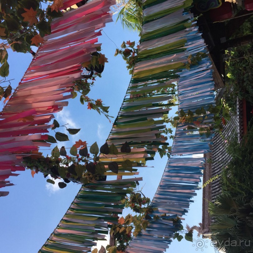 Цветущий остров страны Восходящего Солнца