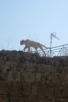 Родос - остров Гелиоса