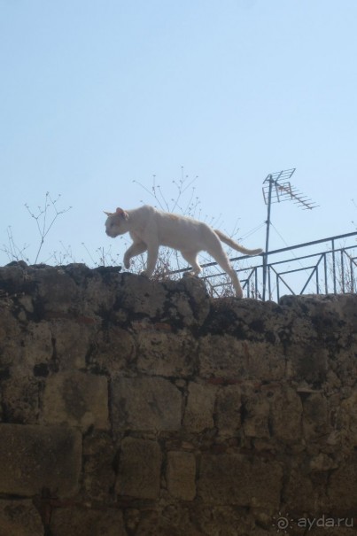 Родос - остров Гелиоса
