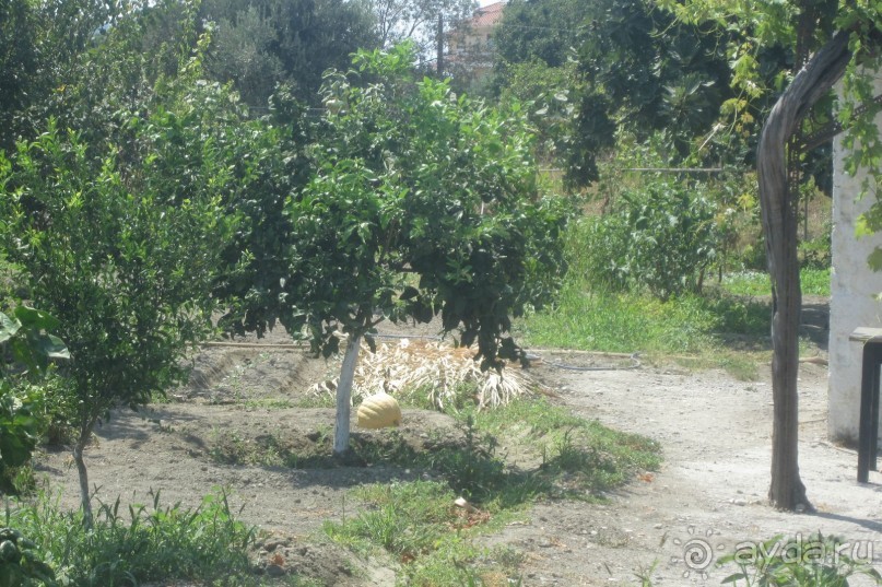 Родос - остров Гелиоса