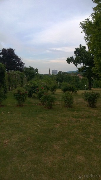 Родина Mersedesa и Ritter Sport