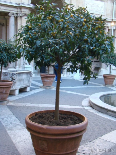 Зимние каникулы в Италии, или Бегом по достопримечательностям