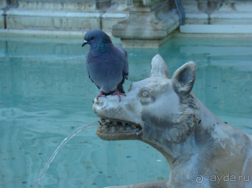 Зимние каникулы в Италии, или Бегом по достопримечательностям