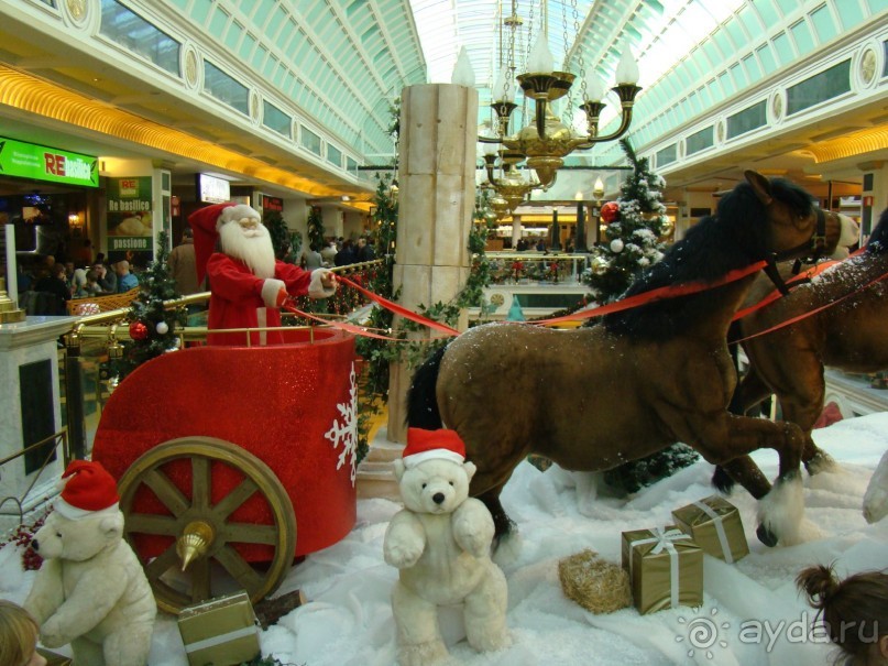 Зимние каникулы в Италии, или Бегом по достопримечательностям