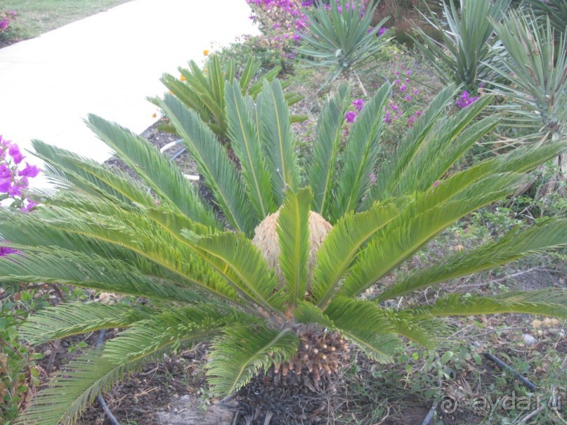 Горки, приятная анимация, дружелюбный персонал в одном флаконе