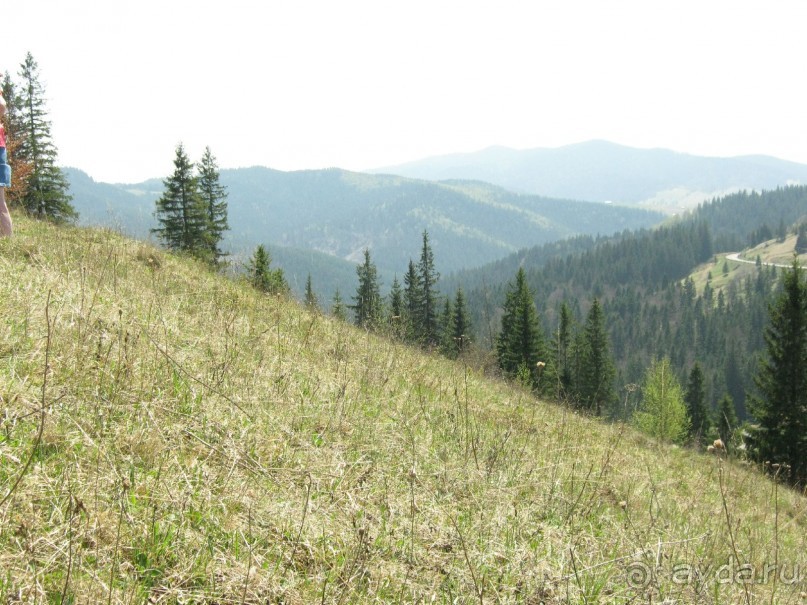 Трансильвания