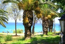 Замечательный уютный отель!