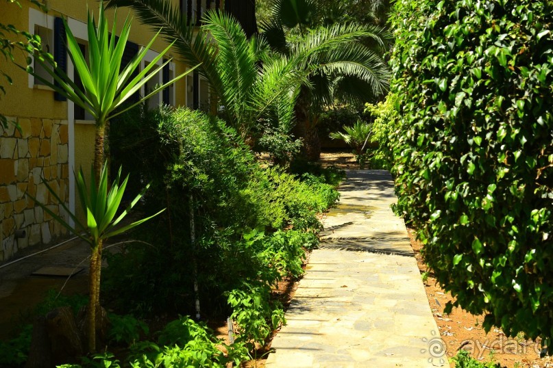 Замечательный уютный отель!