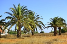 Замечательный уютный отель!