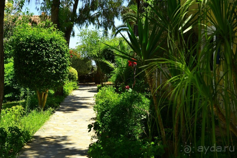 Замечательный уютный отель!