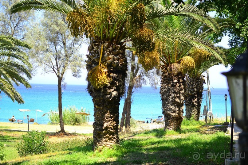 Замечательный уютный отель!