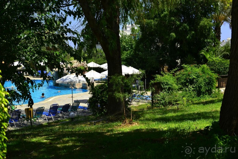 Замечательный уютный отель!