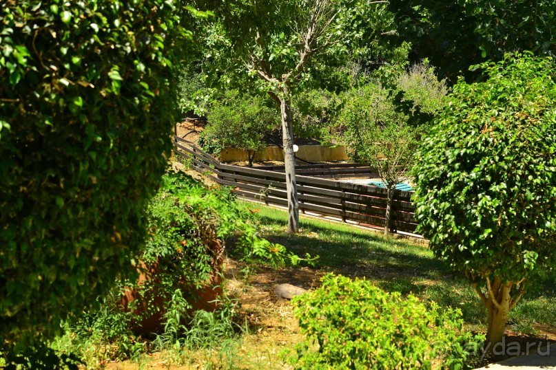 Замечательный уютный отель!