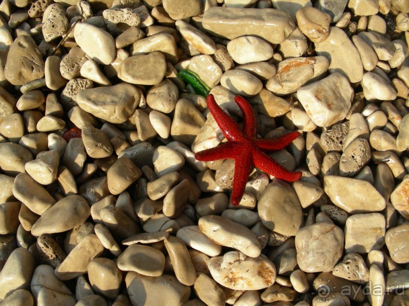 фото Manoluck Hotel