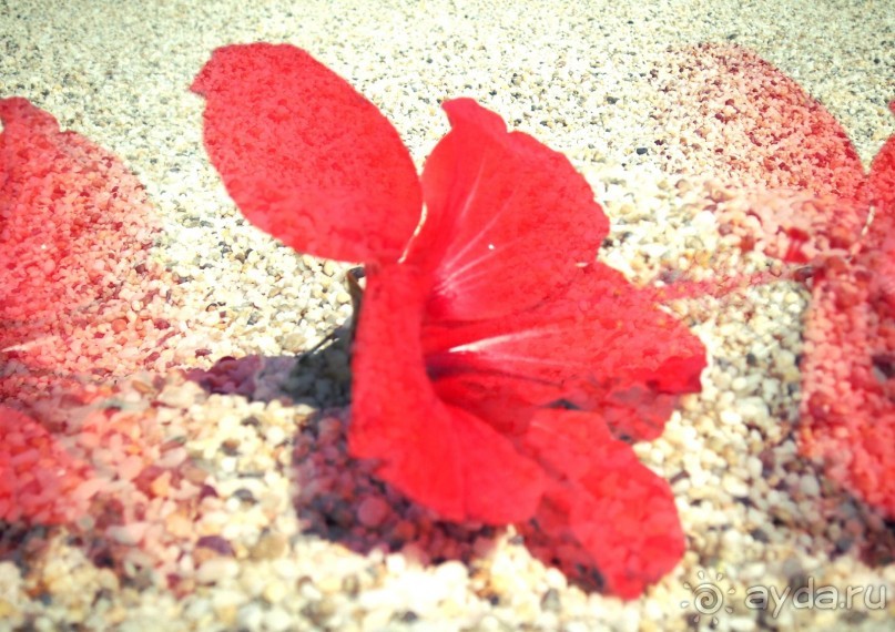 Отдых удался)))