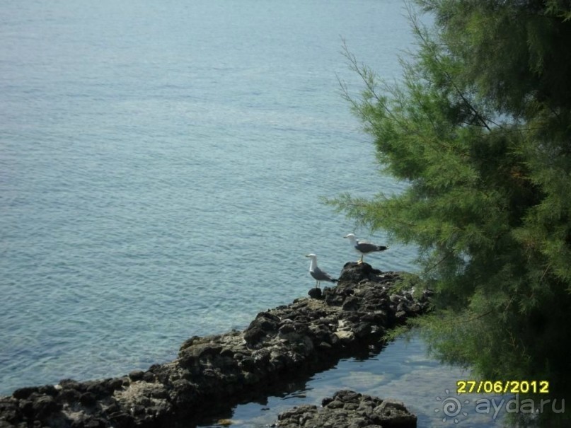 Отдых удался)))