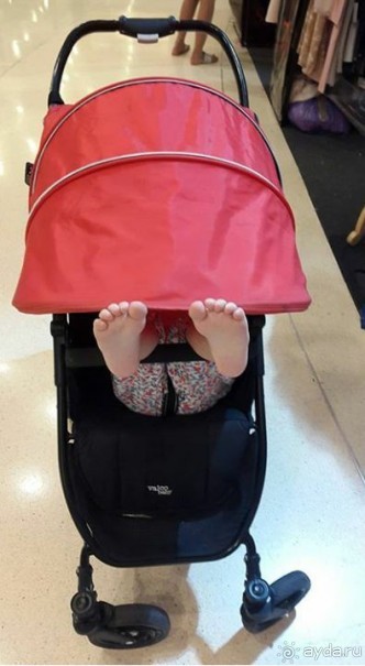 По следам октябрьской поездки в Тай (2016)