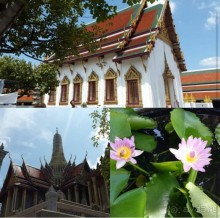 По следам октябрьской поездки в Тай (2016)