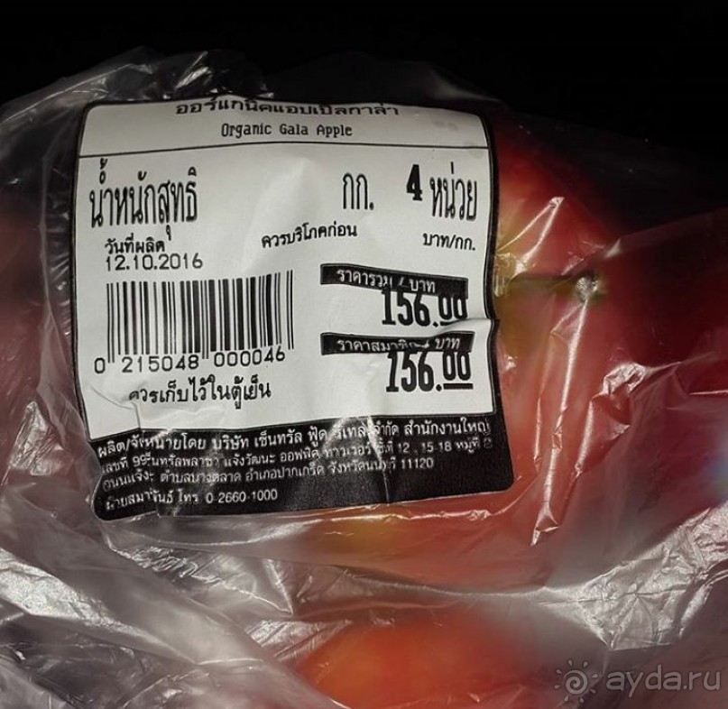 По следам октябрьской поездки в Тай (2016)