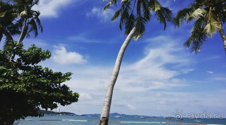 По следам октябрьской поездки в Тай (2016)