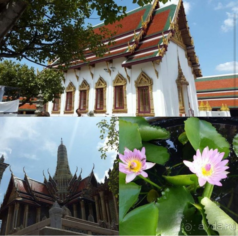 По следам октябрьской поездки в Тай (2016)