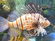 ОАЭ в октябре. Самостоятельное путешетсвие 2х взрослых и ребенка 1,9 года. 