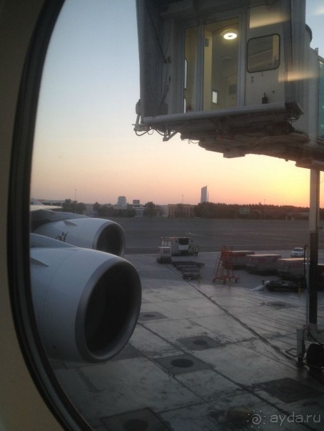 ОАЭ в октябре. Самостоятельное путешетсвие 2х взрослых и ребенка 1,9 года. 