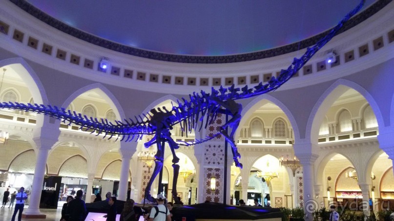 ОАЭ в октябре. Самостоятельное путешетсвие 2х взрослых и ребенка 1,9 года. 