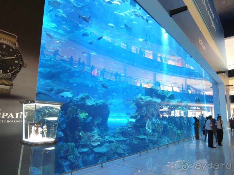 ОАЭ в октябре. Самостоятельное путешетсвие 2х взрослых и ребенка 1,9 года. 