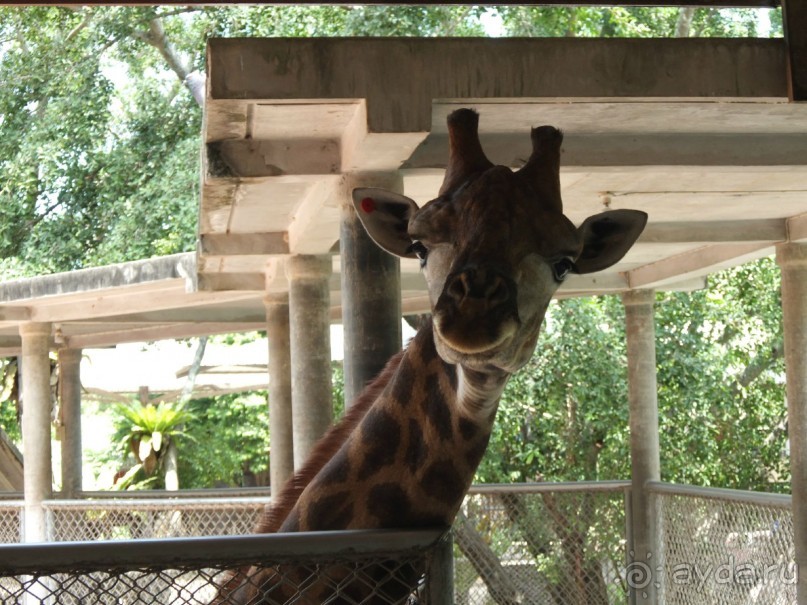 Обратно в Тайланд или впервые с ребенком в страну Улыбок