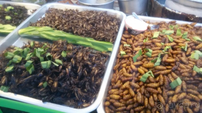 Обратно в Тайланд или впервые с ребенком в страну Улыбок