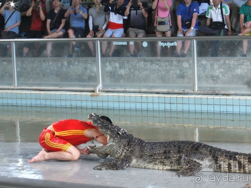 Обратно в Тайланд или впервые с ребенком в страну Улыбок