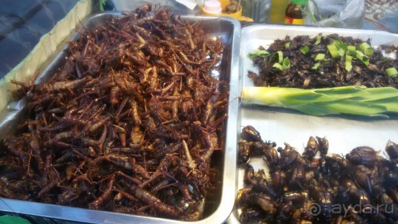 Обратно в Тайланд или впервые с ребенком в страну Улыбок