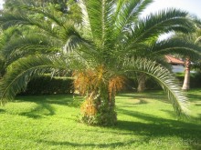 фото Fosshotel Reydarfjordur