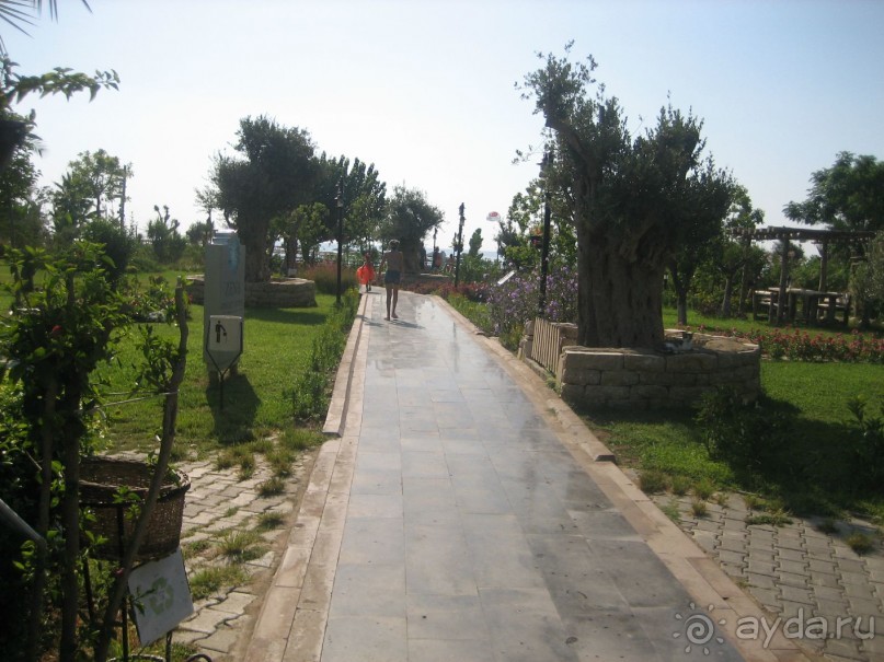 фото Fosshotel Reydarfjordur