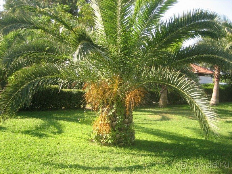 фото Fosshotel Reydarfjordur