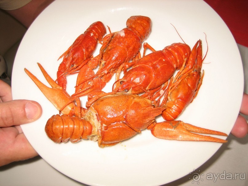 фото Fosshotel Reydarfjordur