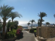 Круглосуточное веселье))))))))