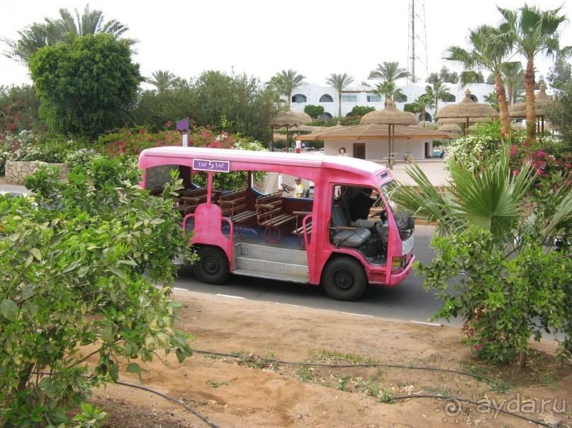 фото Bel Horizon