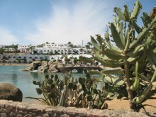 фото Bel Horizon