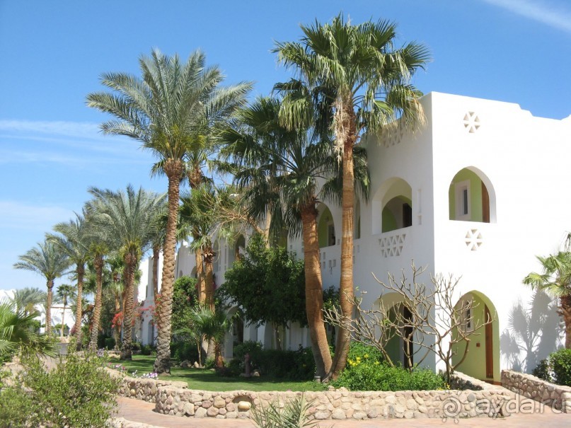 фото Bel Horizon