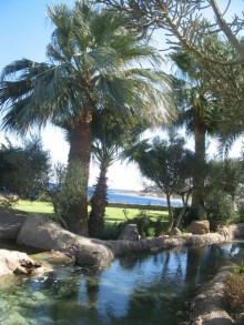 фото Bel Horizon