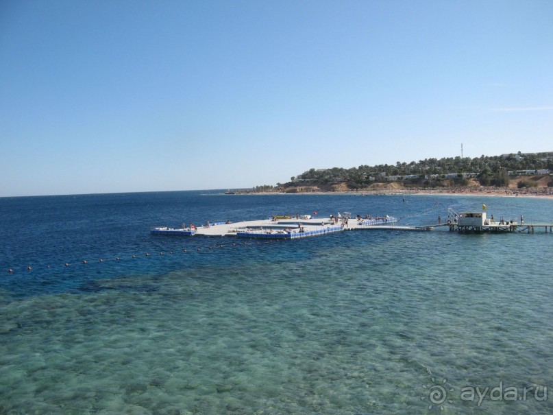 Круглосуточное веселье))))))))