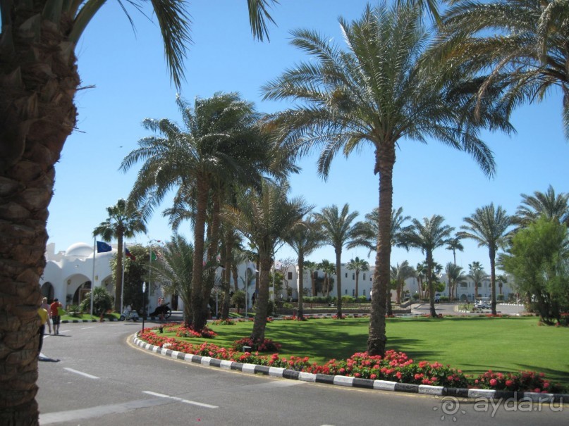 Круглосуточное веселье))))))))