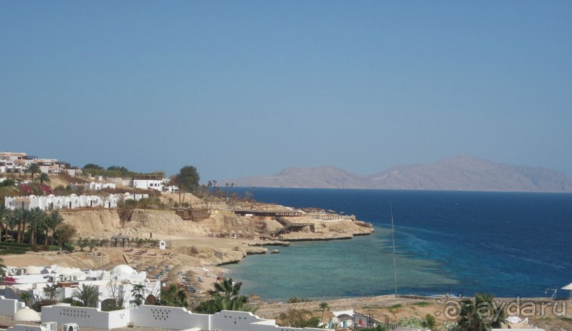 Круглосуточное веселье))))))))