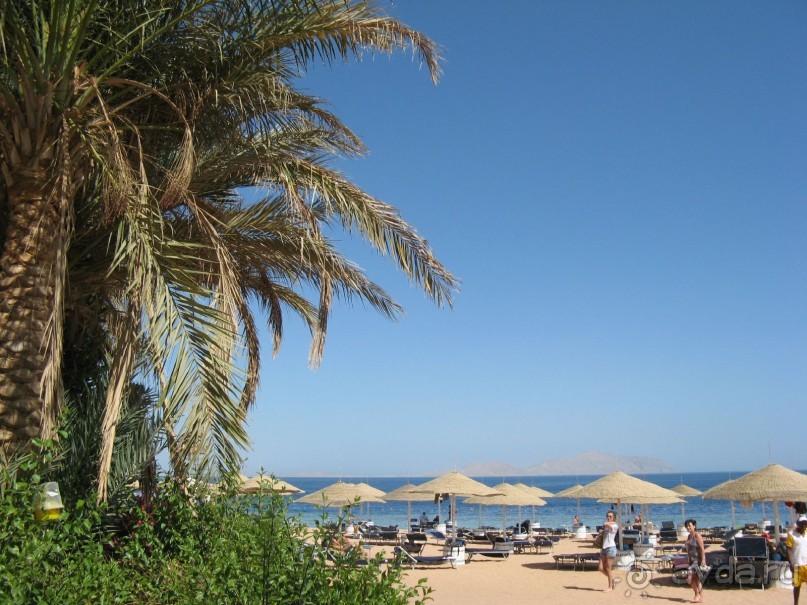 Круглосуточное веселье))))))))