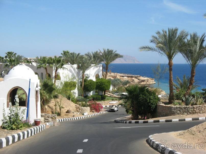 Круглосуточное веселье))))))))