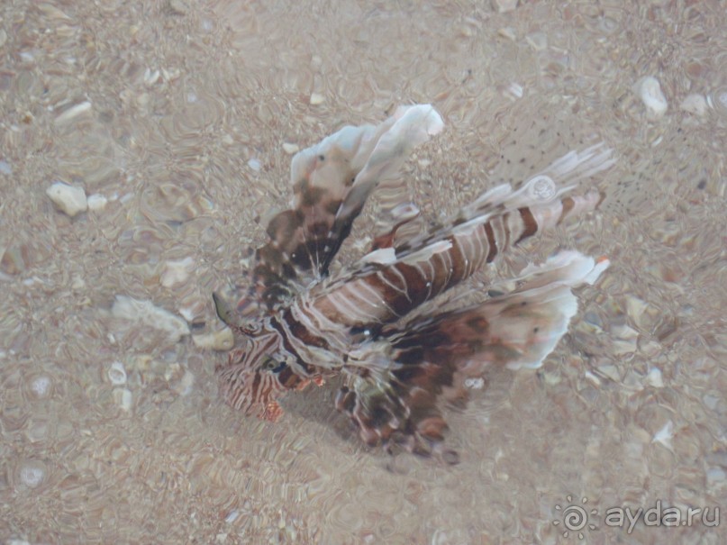 Круглосуточное веселье))))))))