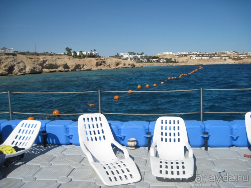 Круглосуточное веселье))))))))